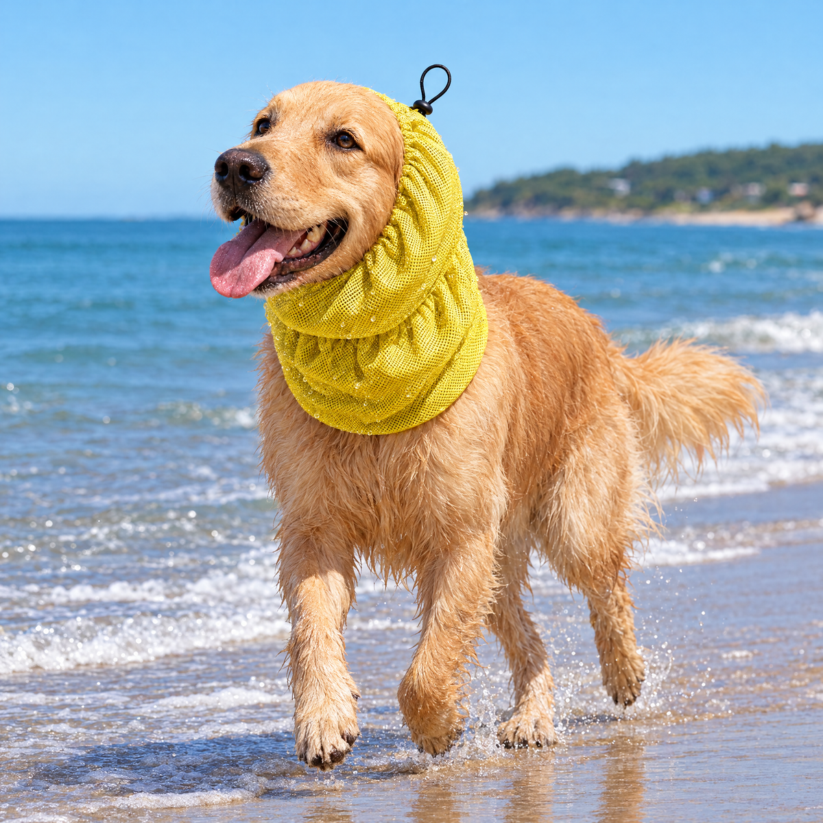 Water-Activated Cooling Snood for Dogs Neck and Ears 0