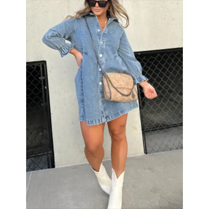 Chic Mini Dress – Stylish Lantern Sleeve A-Line for Effortless Autumn & Spring Looks