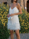 Feather Trim Mini Dress With Shimmer For Parties