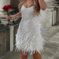 Feather Trim Mini Dress With Shimmer For Parties