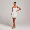 Glamorous Fringe Feather Mini Party Dress for Evening Celebrations