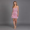 Glamorous Fringe Feather Mini Party Dress for Evening Celebrations