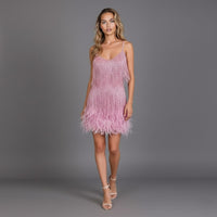 Glamorous Fringe Feather Mini Party Dress for Evening Celebrations